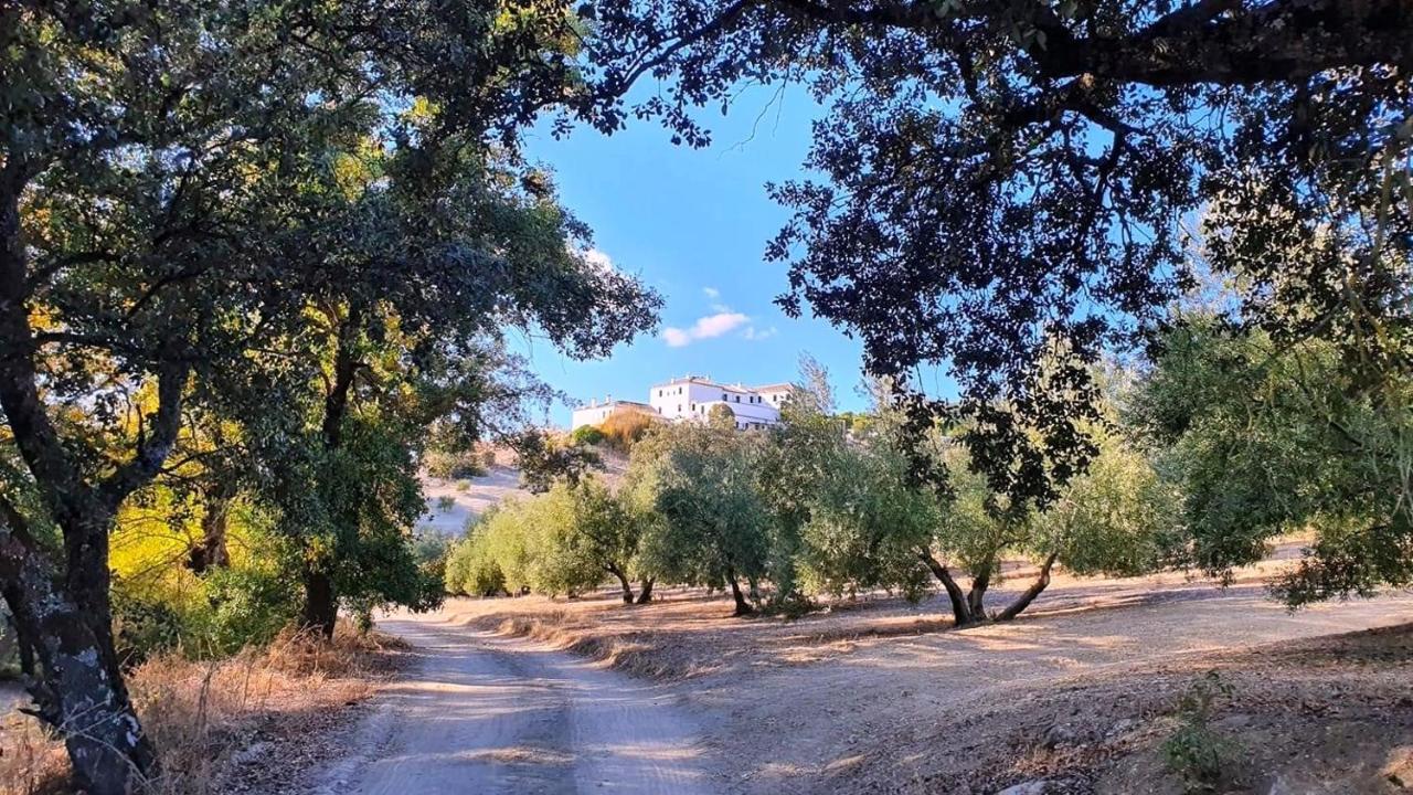 Cortijo La Presa Pension Priego de Córdoba Buitenkant foto