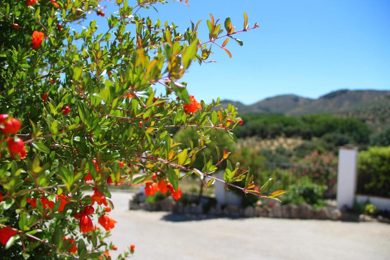 Cortijo La Presa Pension Priego de Córdoba Buitenkant foto