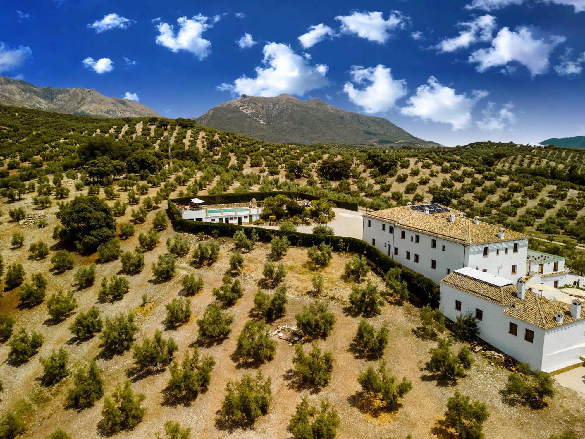 Cortijo La Presa Pension Priego de Córdoba Buitenkant foto